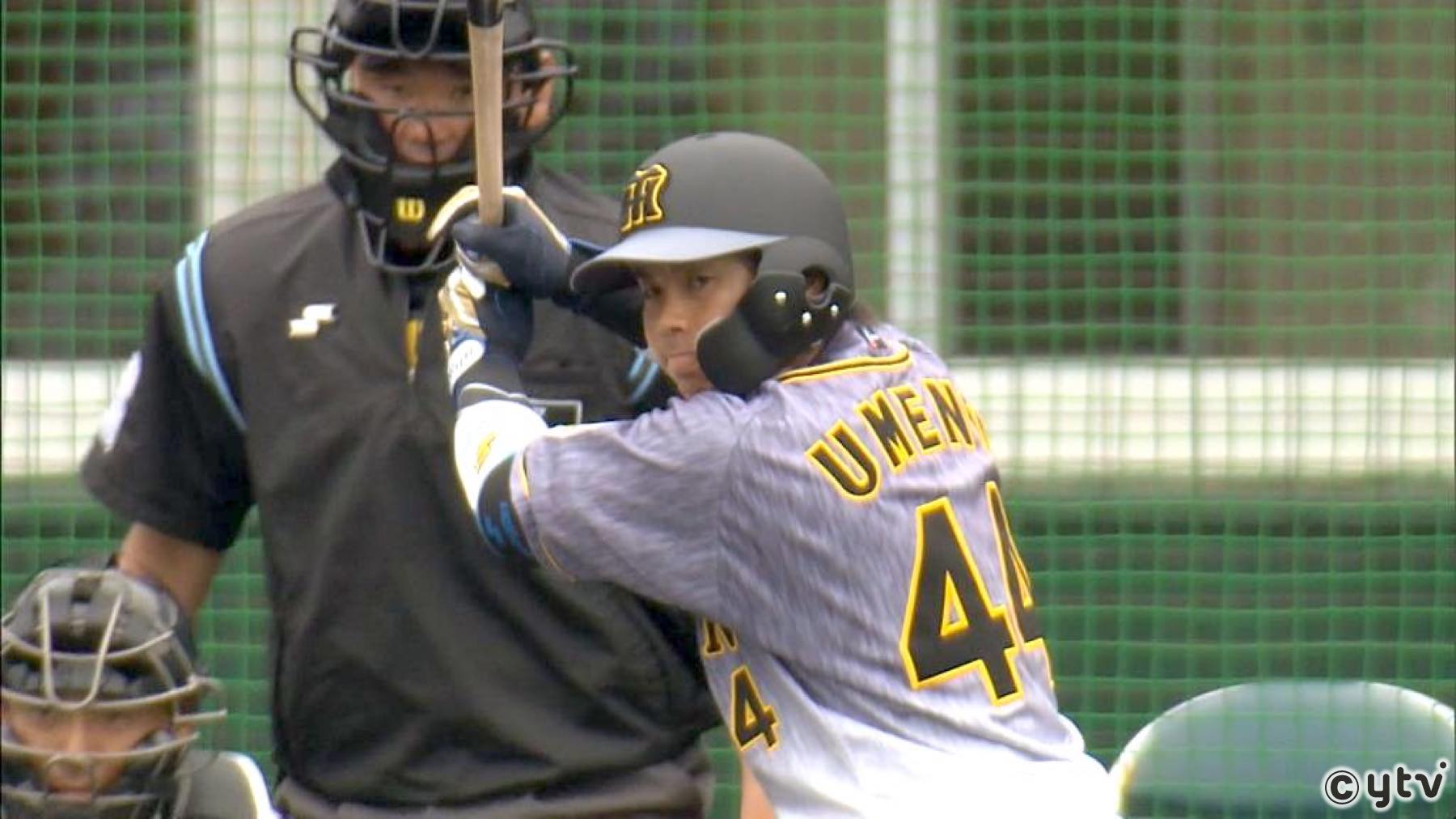 Amazon.co.jp: 阪神タイガース 梅野隆太郎 梅野プロデュース 梅